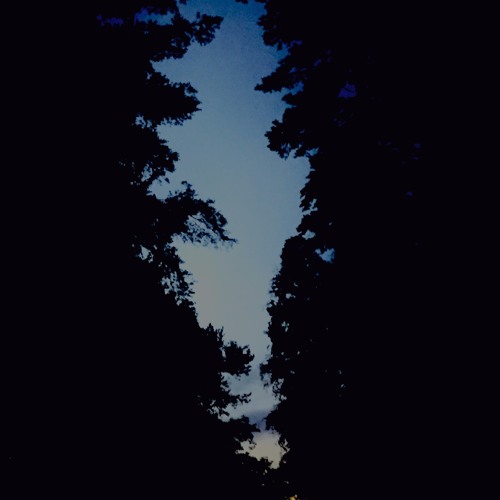 Gryningsljud