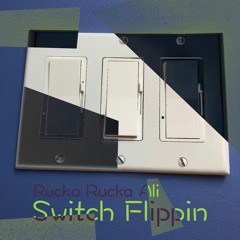 Switch Flippin