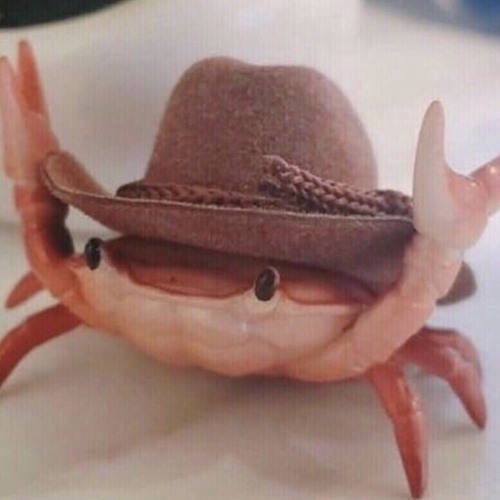 Stream Sad Crabs in the Rain by User 858785621 Listen online for free