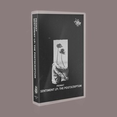 prgmat - sentiment lp: the postscriptum [snippet mix] [limited edition cassette pre-order now]
