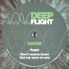Havok - Don't Wanna Know