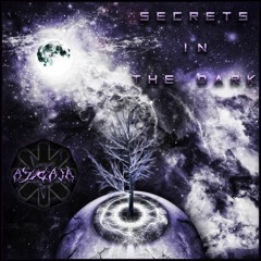 Secrets In The Dark - 145/290bpm