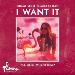 Tommy Vee & Tr-Meet ft. D-Lo - I Want It