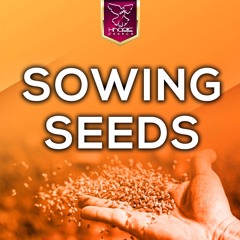 Sowing Seeds