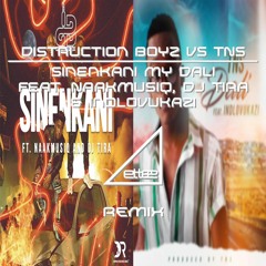 Distruction Boyz VS TNS - Sinenkani My Dali Feat. NaakMusiQ, DJ Tira & Indlovukazi