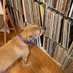 Pullin from the Stacks - Episode 112 (Recent Digs & Classics)