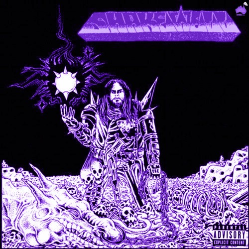 Shakewell - Hold Me Down [Chopped & Screwed] PhiXioN