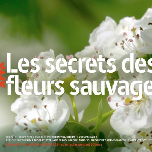 Les Secrets des fleurs Sauvages - Original Music Soundtrack