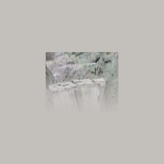 Michael Speers - sul. locus