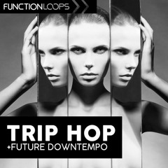 Function Loops - Trip Hop N Future Downtempo