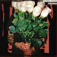 Horse Head & YAWNS - Hospital