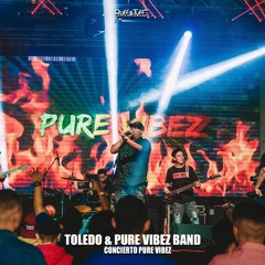 Toledo & Pure Vibez Band - Concierto Pure Vibez En Vivo (completo)