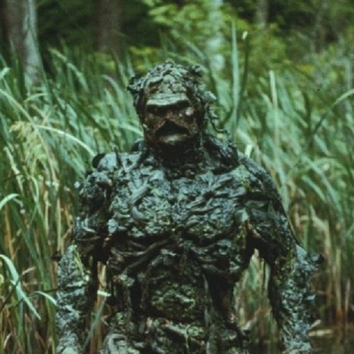 WALK - IN & ANTHROPUS - The Swamp Thing  -  158