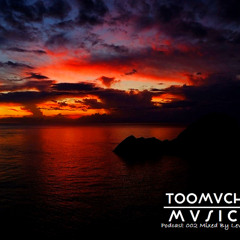 Too Much Music Podcast 002 by Leveg