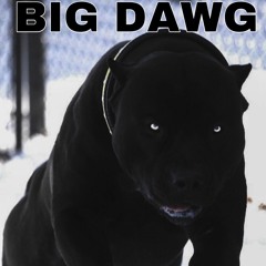 Big Dawg (prod. Hollo)