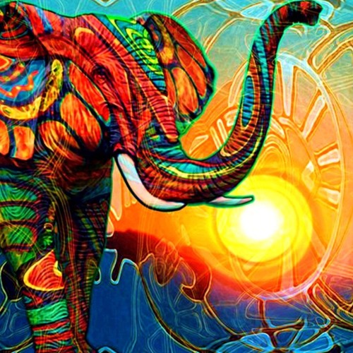 complete control brazil