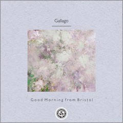 Gallago : Good Morning from Bristol