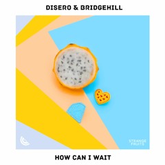 Disero - How Can I Wait (feat. Bridge Hill)