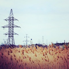 Concord Dawn - Fly Away Home (Elejens Edit)