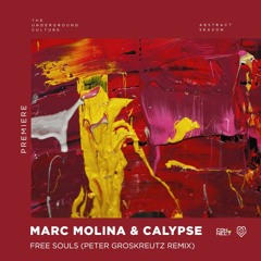 PREMIERE: Marc Molina, Calypse - Free Souls (Peter Groskreutz Remix [JAW Dropping]