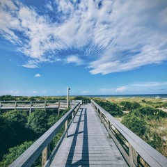 Beachside Vibe w/ Presto!