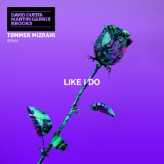 David Guetta, Martin Garrix & Brooks - Like I Do (Tommer Mizrahi Remix)