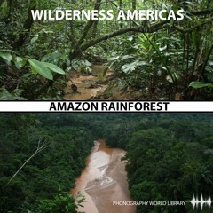 PWL09 : Wilderness Americas : Amazon Rainforest - Demo