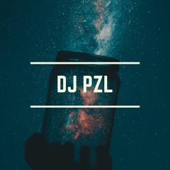 DJ Pzl - Under The Stars
