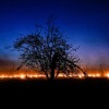 Shane Maher - Spring Mix - 2004 DJ mix artwork - Electronic music tracklist cover image