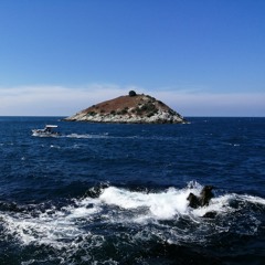 Dolu kadehi ters tut - #24