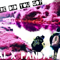 Where Did You Go? - HAI x PANDA
