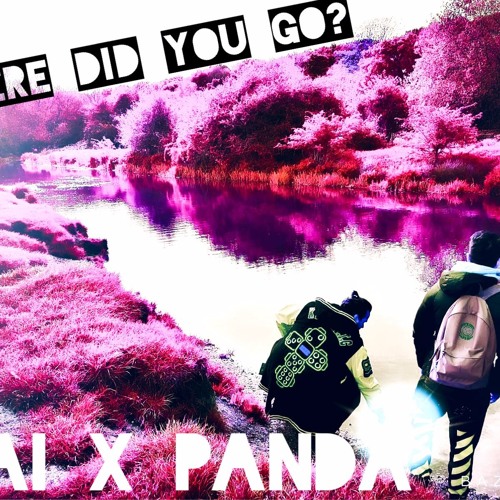 Where Did You Go? - HAI x PANDA