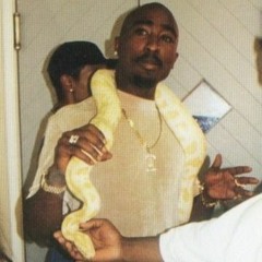 2Pac - Snakes & Fakes 2 (Nozzy - E Remix)