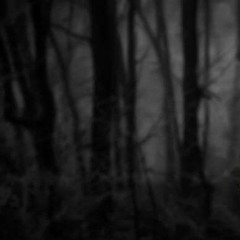 Ýüžíã - Double Crossed