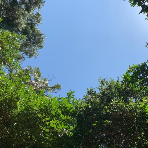 Beautiful Day (prod. Madlib)