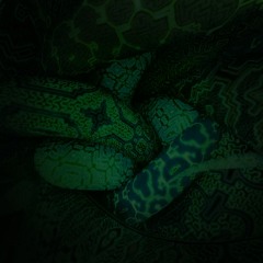 YAIHMM¿YHBITVFFNHN [feat. Groen]