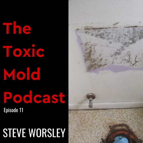 EP 11: Black Mold and Home Inspections
