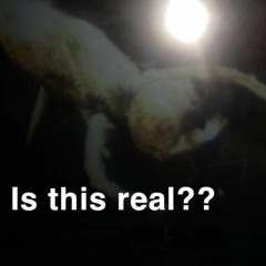 You went for a line drawing and you fucked up