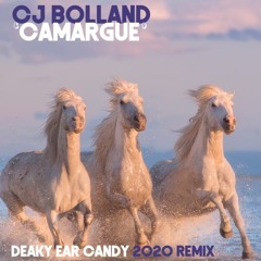 CJ Bolland - Camargue (Deaky Ear Candy Remix)