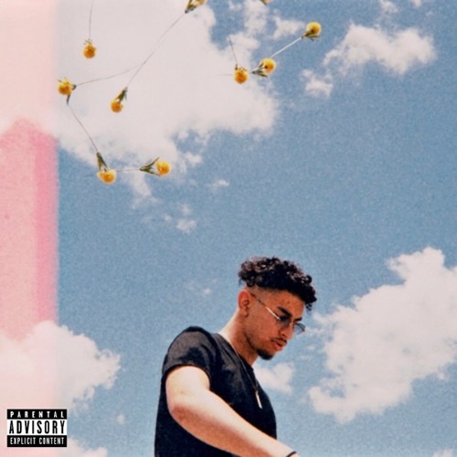 SHAWTY BE THE PLUG [MUSIC VIDEO IN DESCRIPTION]