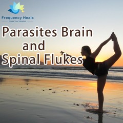 Frequency Heals – Parasites Brain And Spinal Flukes (CAFL)