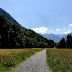One Minute of Pasture Thick with Life (Haute Savoie): July 19
