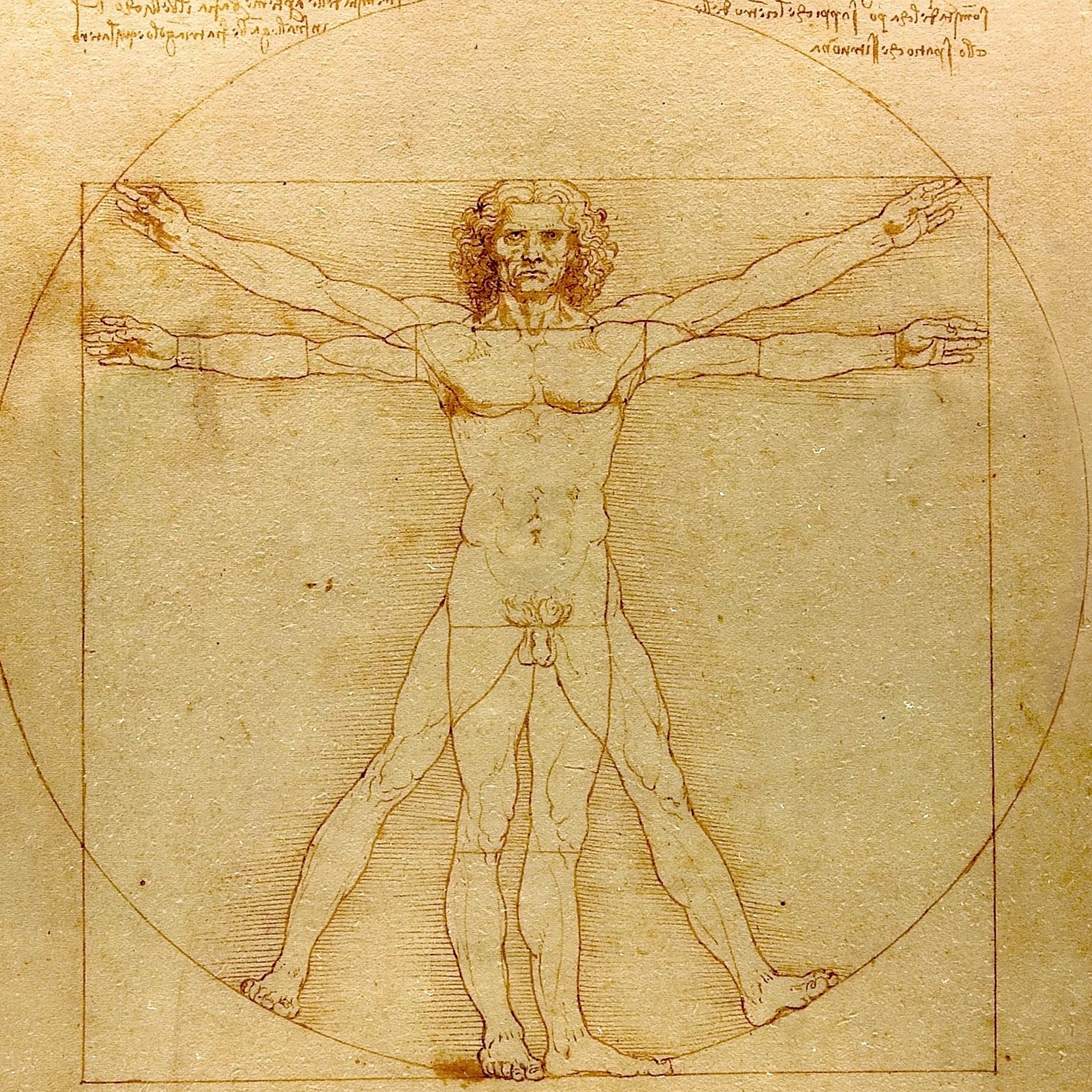 new vitruvian episode artwork