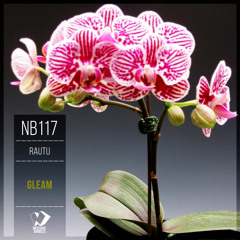 Rautu - Gleam (Original Mix)