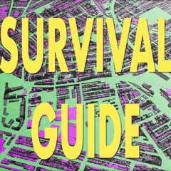 SURVIVAL GUIDE #12: Blak Audit 2.0