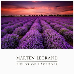 Martèn LeGrand - Fields Of Lavender