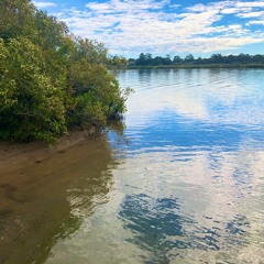 Live Stream Excerpt [NOOSA RIVER, 10am] ‘Listening with Three Rivers’ #WLD2019