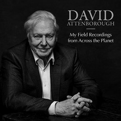 Metallotron (David Attenborough Gamelan Remix)