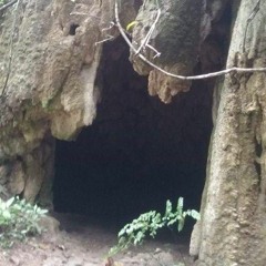 Insomnia - Preview - No Master