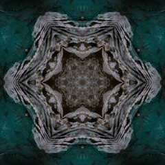 Dharma Probe | Forest Mix